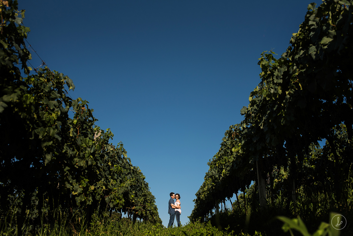 ensaio pré casamento, ensaio no vale dos vinhedos, vinhedos, vinícolas, fotos na serra gaúcha, melhores fotos de casamento, ensaio na natureza
