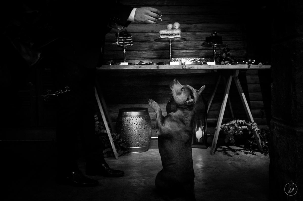 casamentonaserragaucha,miniweddingnaserra,novapetropolis,cassiaschmitt,casenaserra,casamentoemgramado,casamentonocampo,casamentoexterno,fotosdecasamentoespontaneas,workshopdesconstrucao,workshoponline,