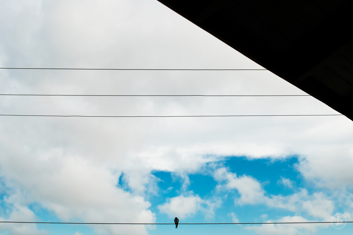 praia do estaleirinho, balneariocamboriu,villasonali,festaemSC,fotosdeaniversario,litoral,estaleirinho,adecprodutora,
