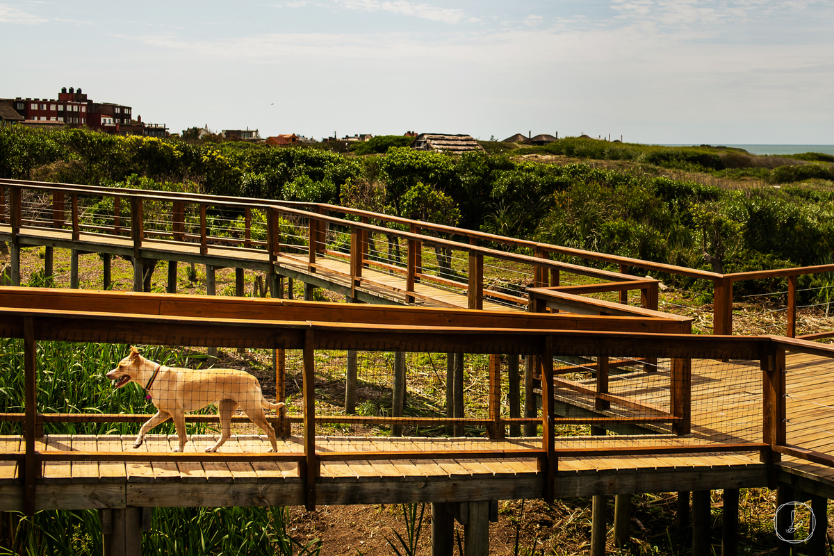 destinationwedding,casamentonouruguay,uruguai,lapaloma,casamentonapraia,casamentodedia,bodasenlapaloma,bodasuruguay,fotosespontaneas,mejoresfotosdebodas,fotografiaunica,luizafedrizi,fotosincriveis,miniwedding,casamentosintimistas