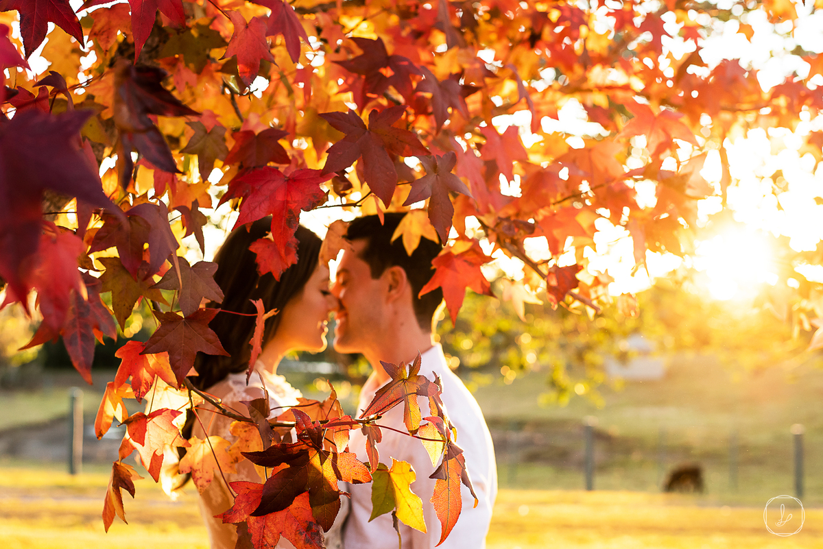 ensaiodecasal,prewedding,ensaiodecasalnositio,ensaiodeoutono,fotosnooutono,platanos,fotosdecasais,fotosfelizes,fotosespontaneas