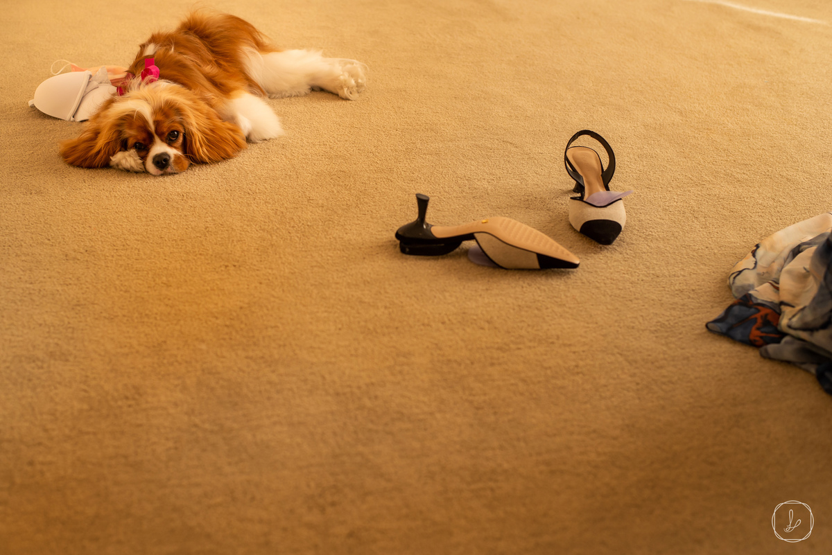 carlosbacchiatelier,carlosbacchi,mauricioplaceres,casamentoemportoalegre,alta-costura,miniwedding,casamentonoRS,lucaslermenfotografia,casamentohibrido,elopementwedding
