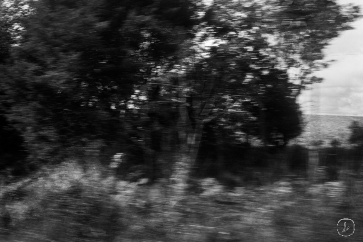 casamentonachuva,casamentocivil,casamentonoRS,casamentonaserracatarinense,casamentonamontanha,cabana,fotosdecasal,serracatarinense,melhorescasamentos,miniwedding,casamentonapandemia,urubici,ensaioemurubici,morrodaigreja,fotosemsantacatarina,