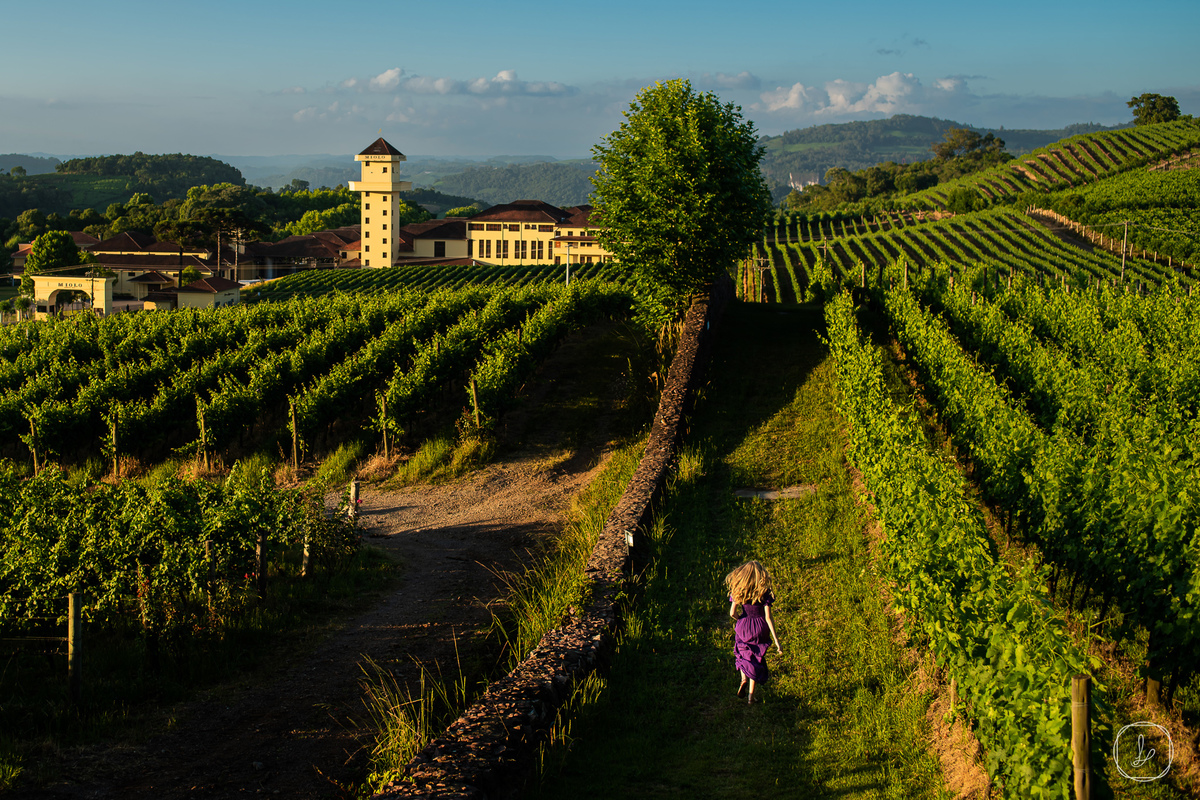 ensaiode15,valedosvinhedos,serragaucha,bentogoncalves,fotografode15anos,fotografonaserragaucha,melhoresfotosdaserra,hotelespadovinho,ensaiosde15anos,15th,estudiojh,wine,vinicolamiolo,fotosnaserragaucha,