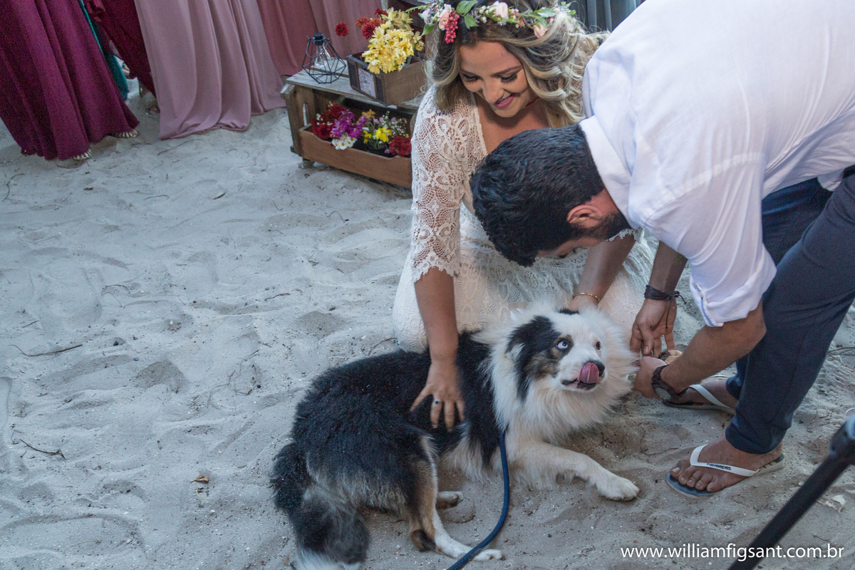 cachorro entrando com  as alianças