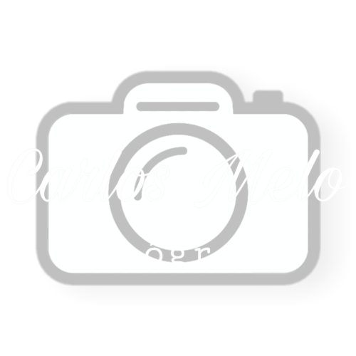 Logotipo de carlos quirino amaro de melo