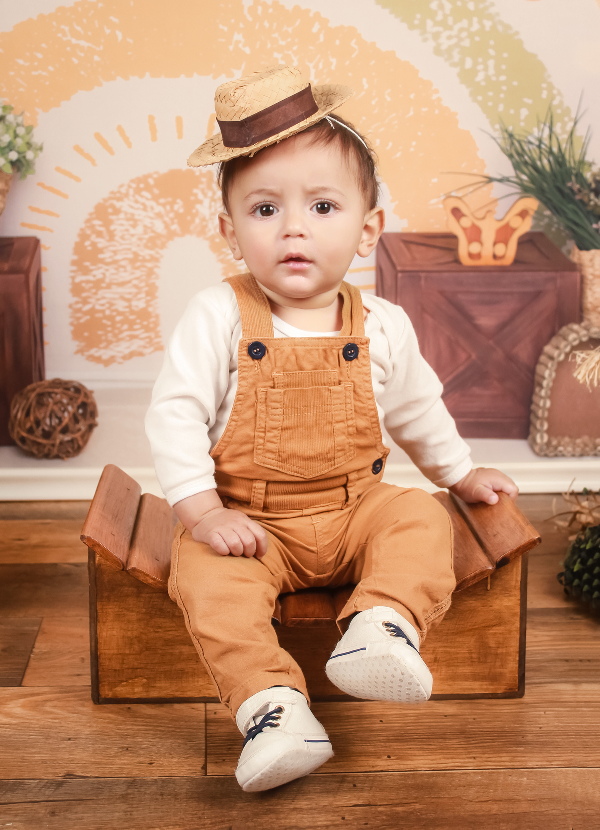 studio-estudio-foto-fotografia-book-gestante-acompanhamento-bebe-mesversario-casal-smash-newborn-ibiuna-aniversario-sao-paulo