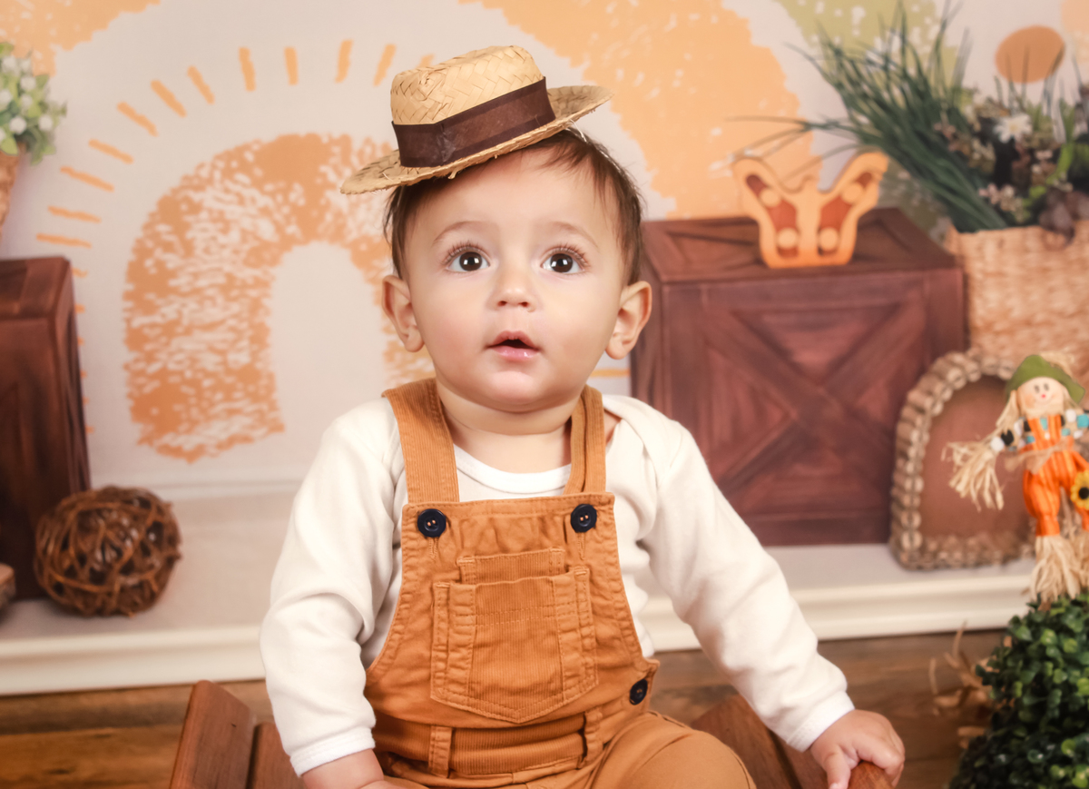 studio-estudio-foto-fotografia-book-gestante-acompanhamento-bebe-mesversario-casal-smash-newborn-ibiuna-aniversario-sao-paulo