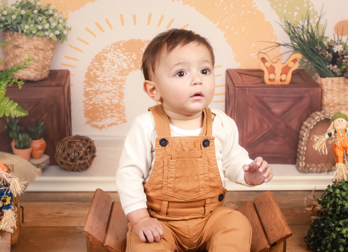 studio-estudio-foto-fotografia-book-gestante-acompanhamento-bebe-mesversario-casal-smash-newborn-ibiuna-aniversario-sao-paulo