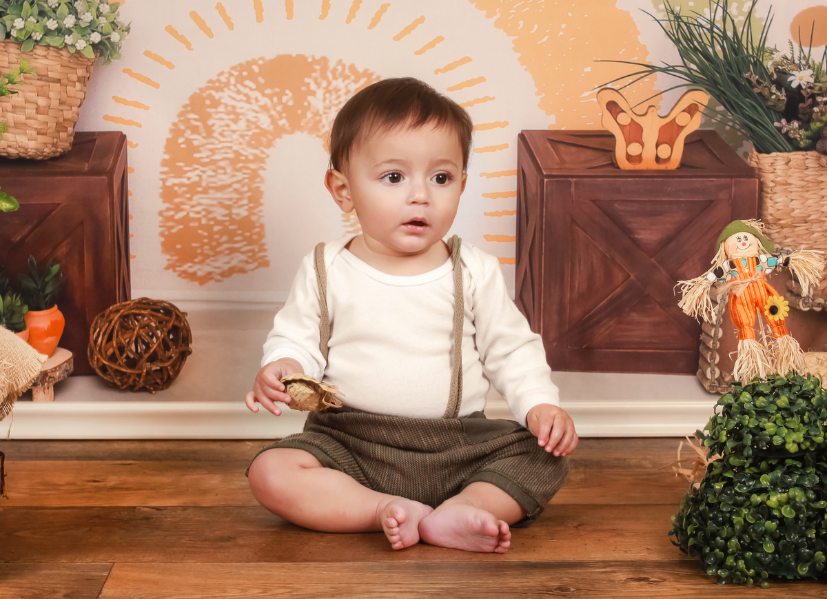 studio-estudio-foto-fotografia-book-gestante-acompanhamento-bebe-mesversario-casal-smash-newborn-ibiuna-aniversario-sao-paulo