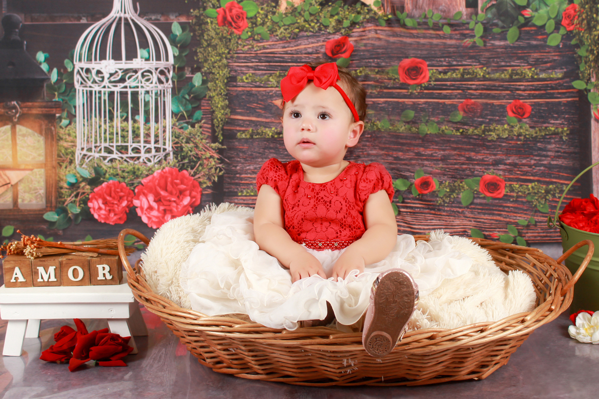 studio-estudio-foto-fotografia-book-gestante-acompanhamento-bebe-mesversario-casal-smash-newborn-ibiuna-aniversario-sao-paulo