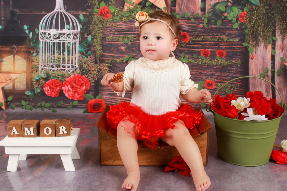 studio-estudio-foto-fotografia-book-gestante-acompanhamento-bebe-mesversario-casal-smash-newborn-ibiuna-aniversario-sao-paulo