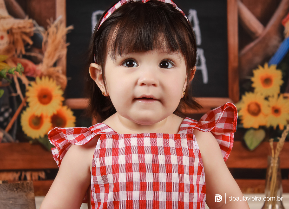 studio-estudio-foto-fotografia-book-gestante-acompanhamento-bebe-mesversario-casal-smash-newborn-ibiuna-aniversario-sao-paulo