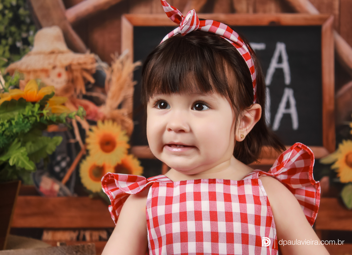 studio-estudio-foto-fotografia-book-gestante-acompanhamento-bebe-mesversario-casal-smash-newborn-ibiuna-aniversario-sao-paulo