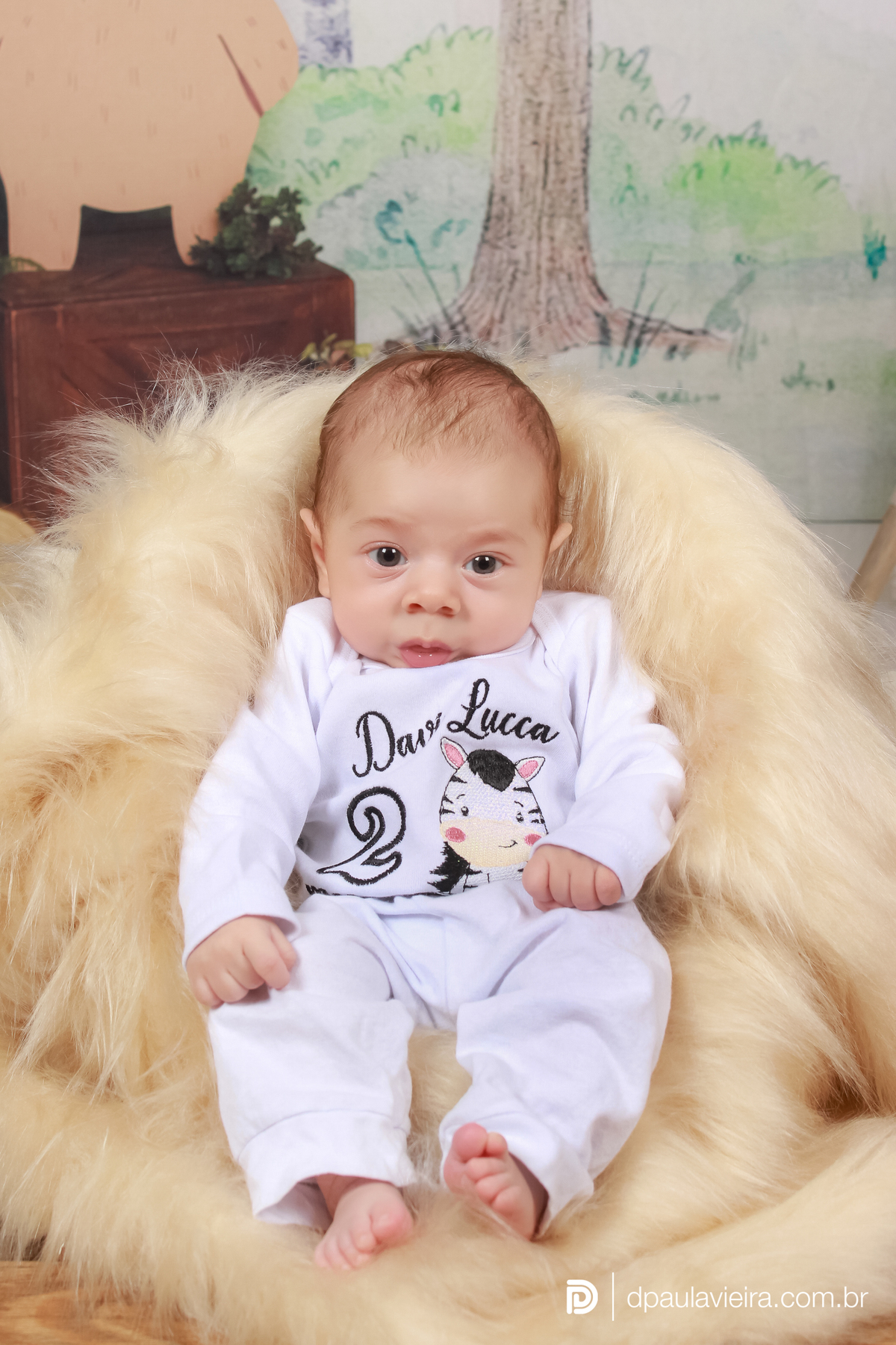 studio-estudio-foto-fotografia-book-gestante-acompanhamento-bebe-mesversario-casal-smash-newborn-ibiuna-aniversario-sao-paulo