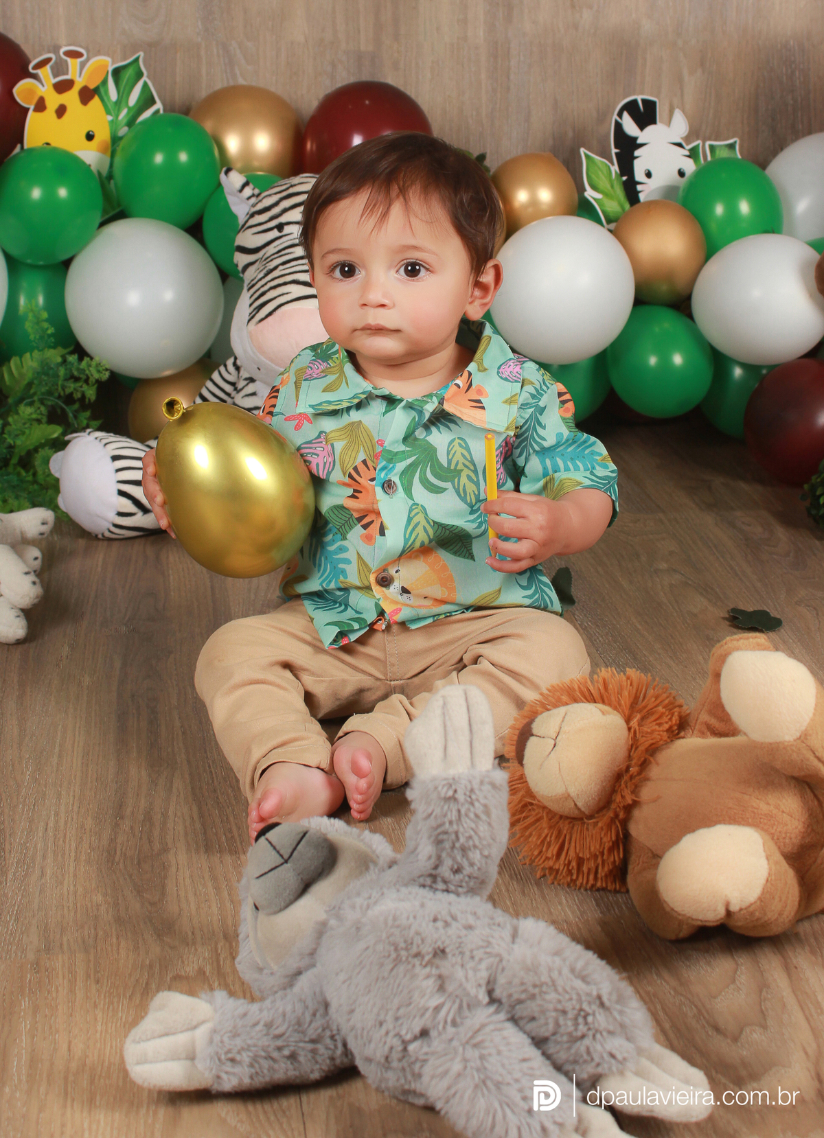 studio-estudio-foto-fotografia-book-bebe-mesversario-acompanhamento-smash-newborn-ibiuna-safari-sao-paulo