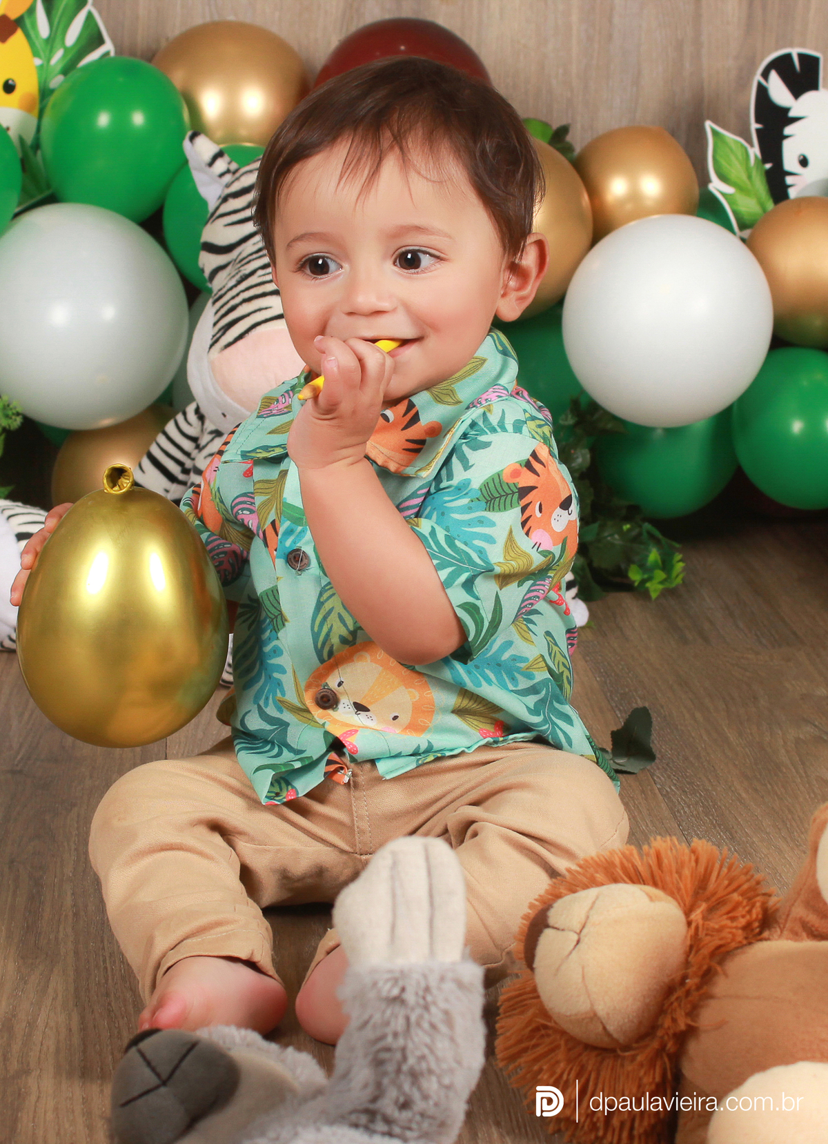 studio-estudio-foto-fotografia-book-bebe-mesversario-acompanhamento-smash-newborn-ibiuna-safari-sao-paulo