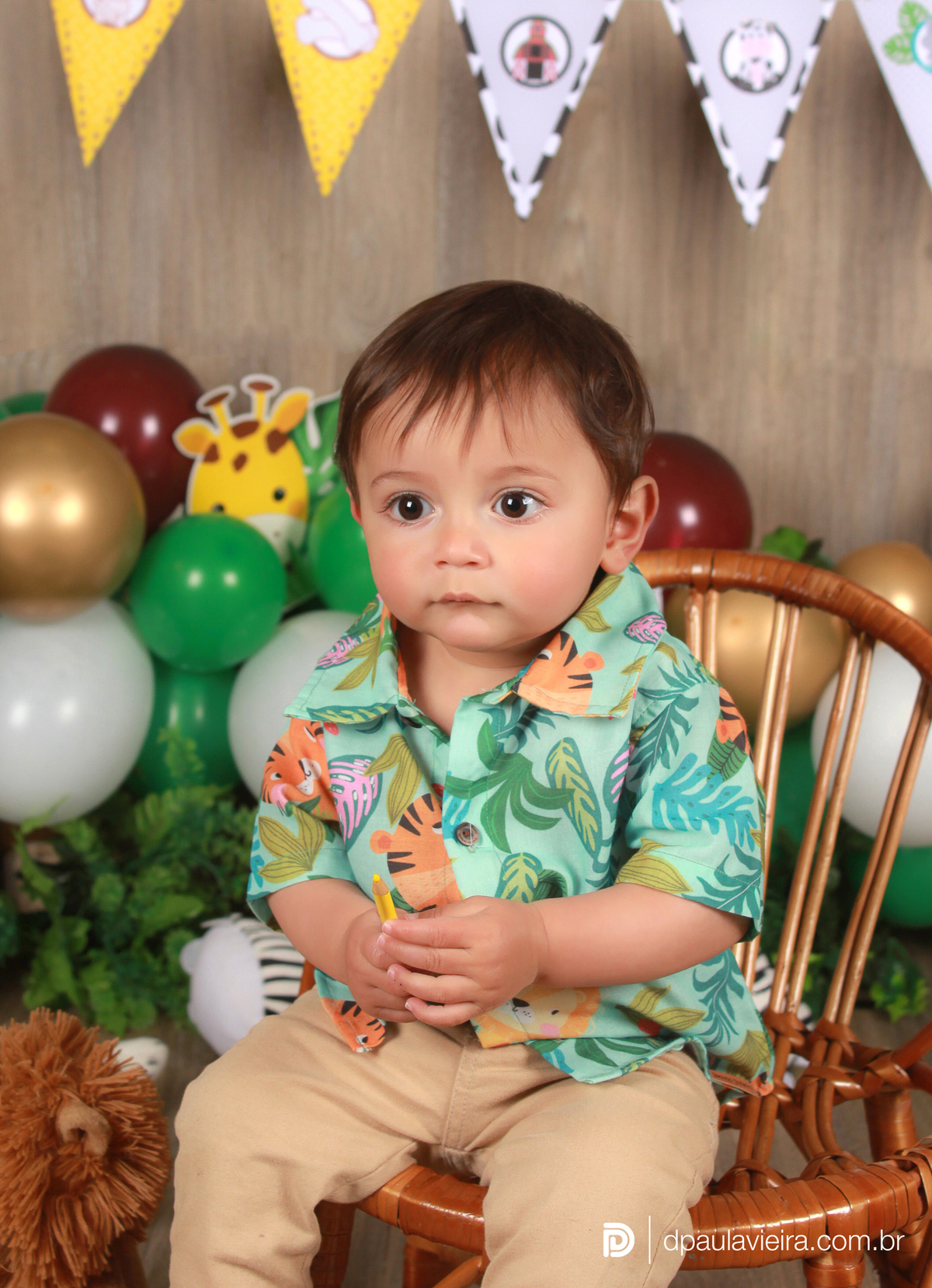 studio-estudio-foto-fotografia-book-bebe-mesversario-acompanhamento-smash-newborn-ibiuna-safari-sao-paulo