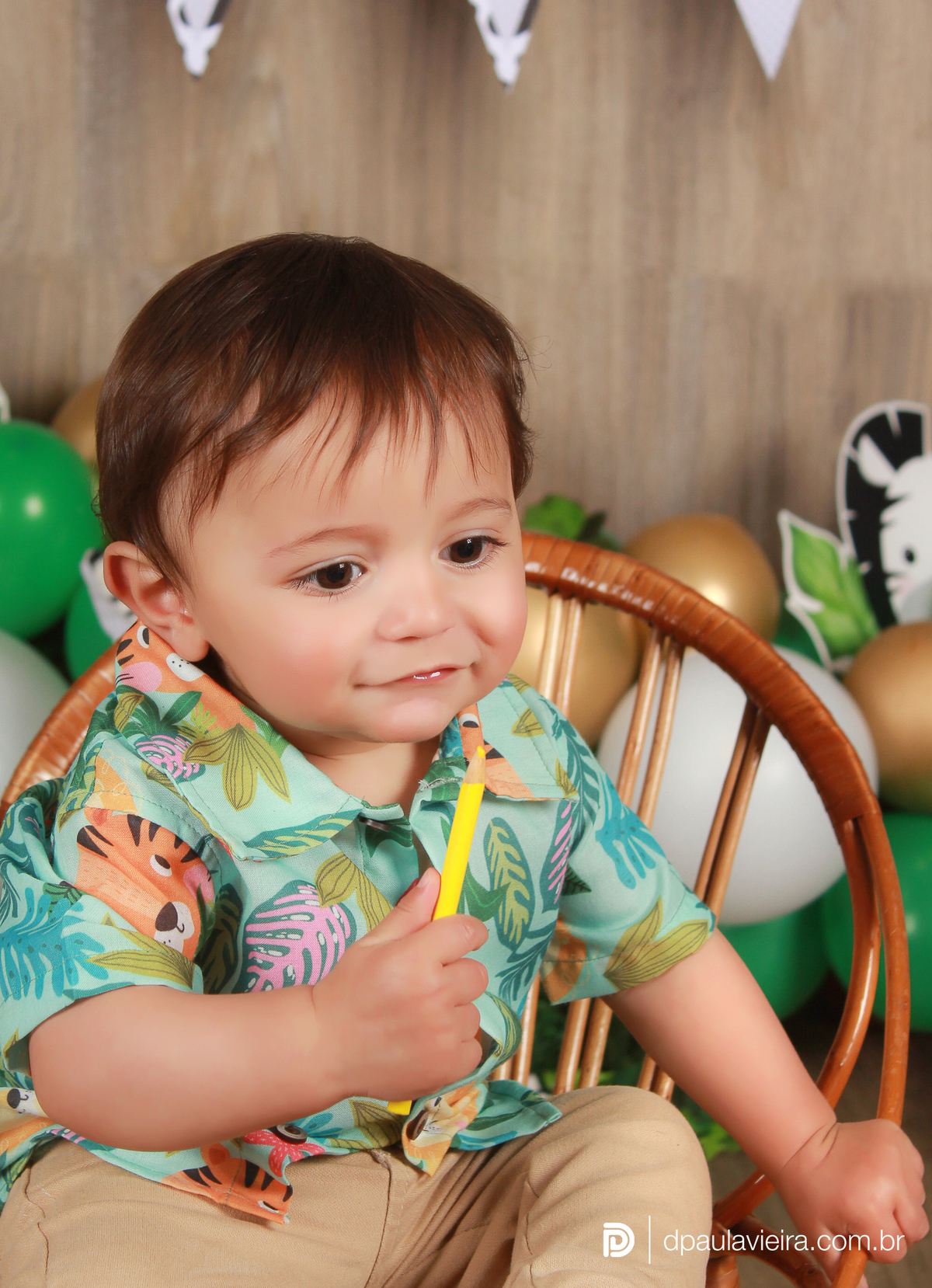 studio-estudio-foto-fotografia-book-bebe-mesversario-acompanhamento-smash-newborn-ibiuna-safari-sao-paulo
