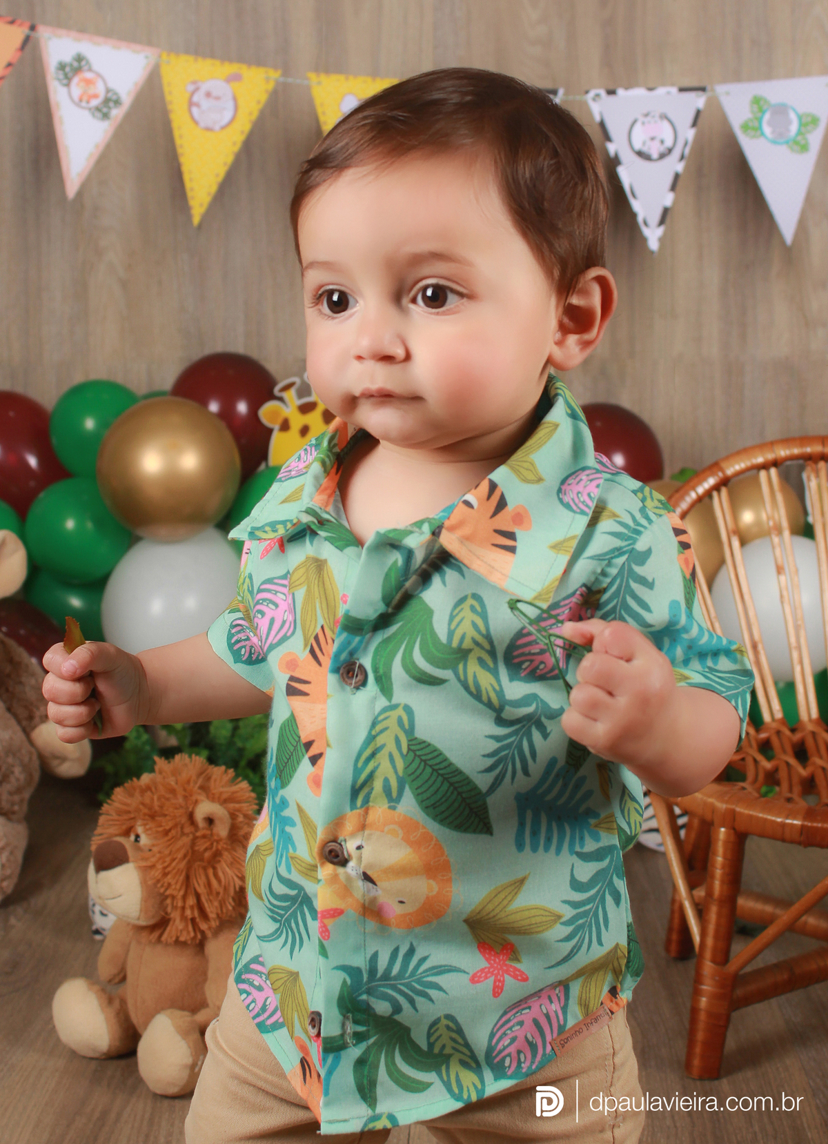 studio-estudio-foto-fotografia-book-bebe-mesversario-acompanhamento-smash-newborn-ibiuna-safari-sao-paulo