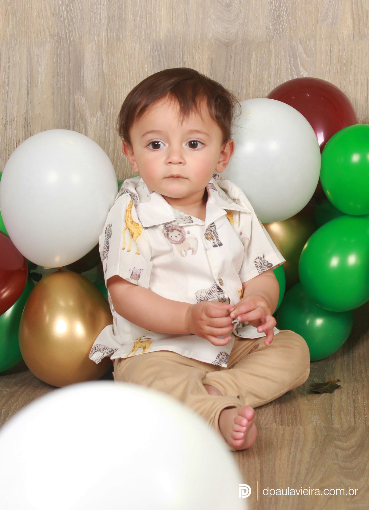 studio-estudio-foto-fotografia-book-bebe-mesversario-acompanhamento-smash-newborn-ibiuna-safari-sao-paulo