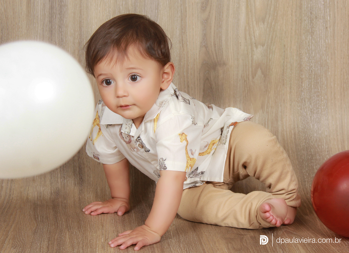 studio-estudio-foto-fotografia-book-bebe-mesversario-acompanhamento-smash-newborn-ibiuna-safari-sao-paulo