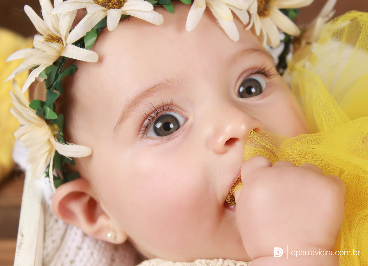 studio-estudio-foto-fotografia-book-menina-bebe-mesversario-acompanhamento-smash-newborn-ibiuna-limaozinho-sao-paulo