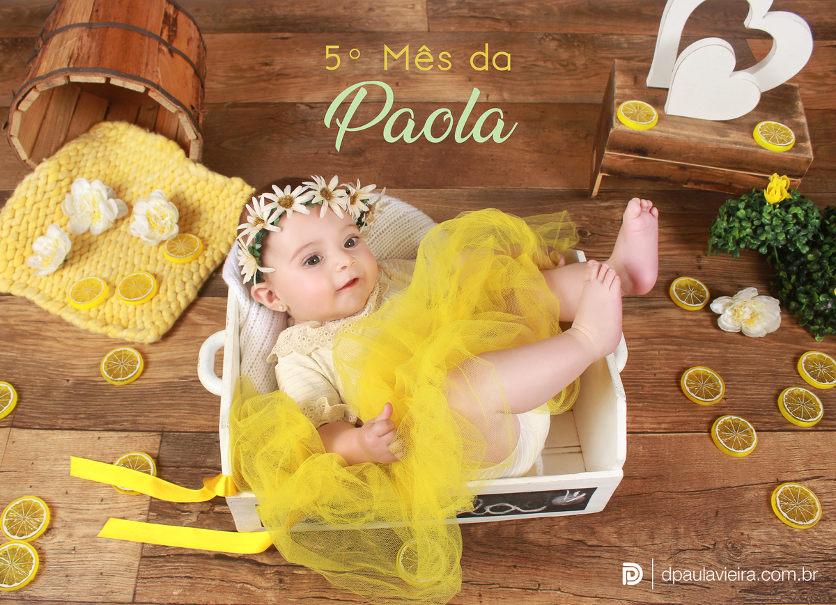 studio-estudio-foto-fotografia-book-menina-bebe-mesversario-acompanhamento-smash-newborn-ibiuna-limaozinho-sao-paulo