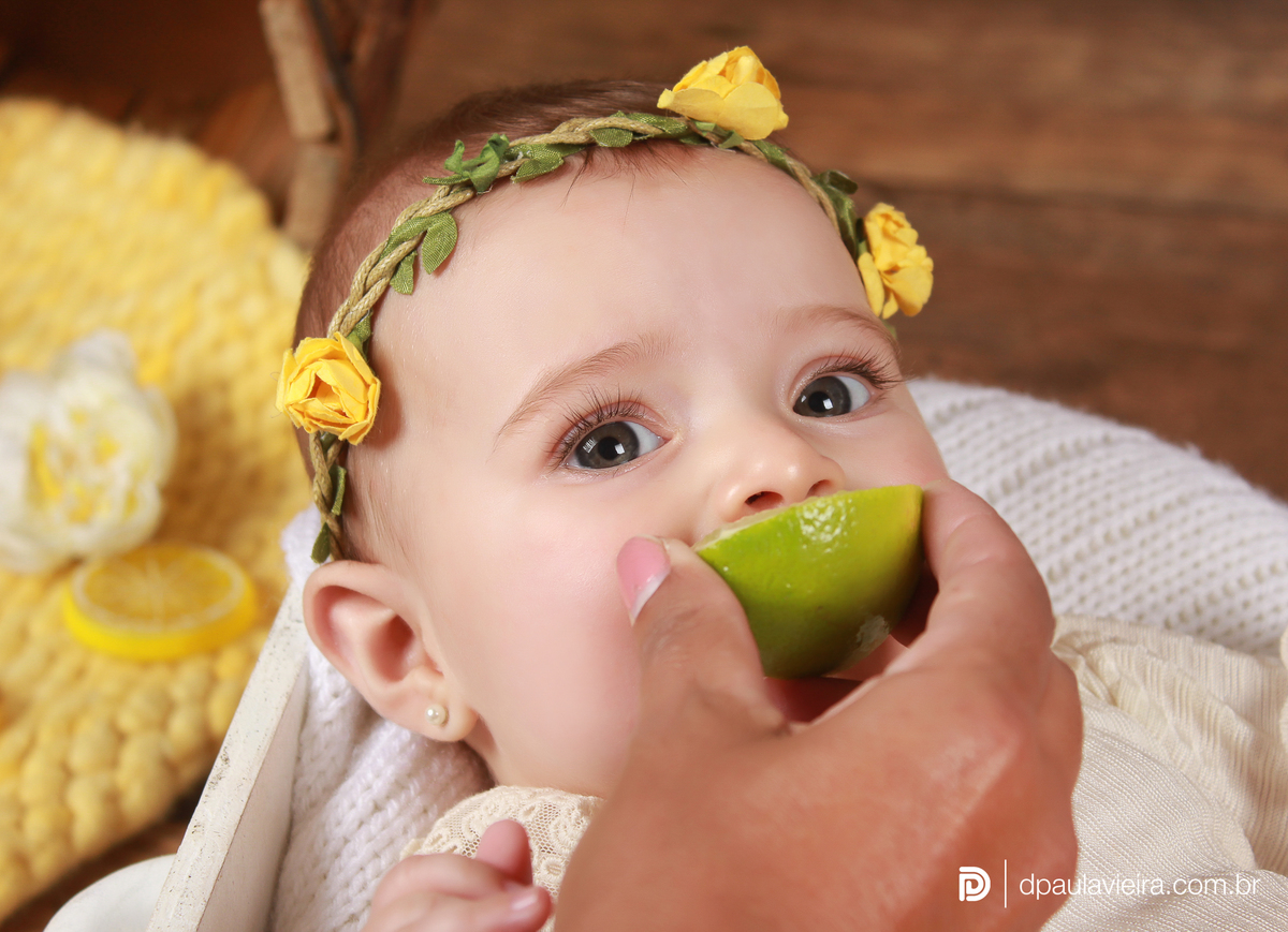 studio-estudio-foto-fotografia-book-menina-bebe-mesversario-acompanhamento-smash-newborn-ibiuna-limaozinho-sao-paulo