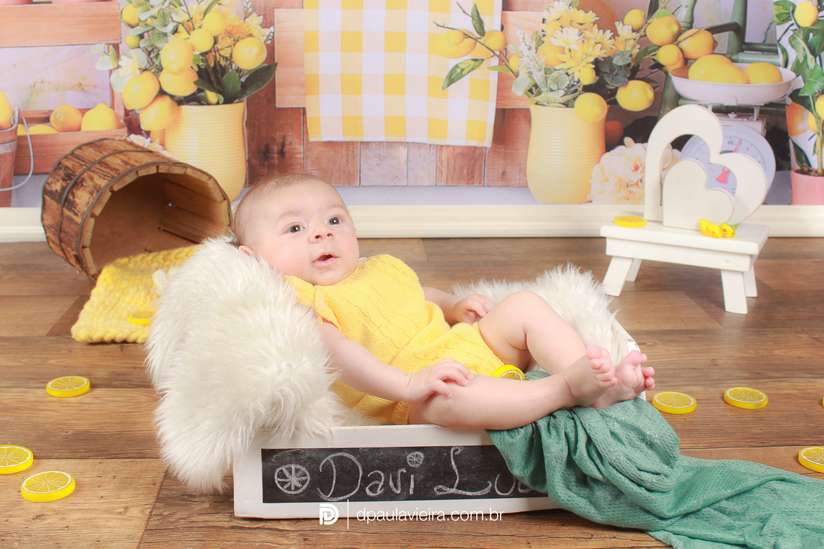 studio-estudio-foto-fotografia-book-acompanhamento-bebe-mesversario-limaozinho-smash-newborn-ibiuna-aniversario-sao-paulo