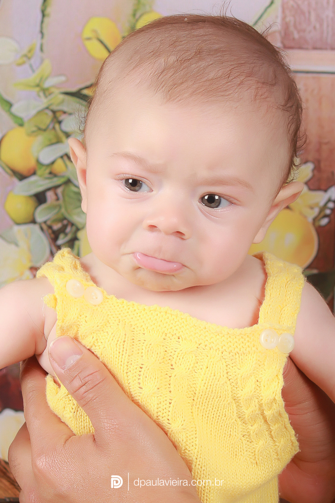 studio-estudio-foto-fotografia-book-acompanhamento-bebe-mesversario-limaozinho-smash-newborn-ibiuna-aniversario-sao-paulo