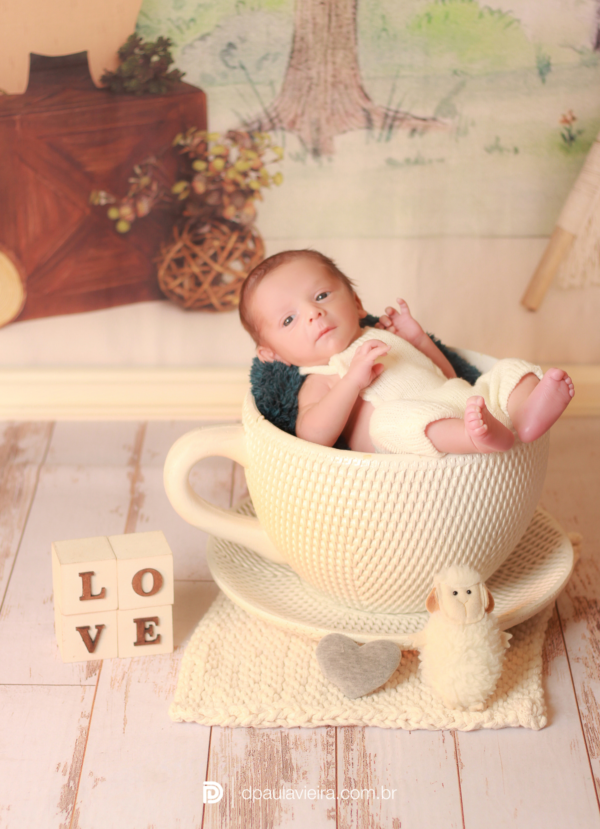 studio-estudio-foto-fotografia-book-gestante-acompanhamento-bebe-mesversario-casal-smash-newborn-ibiuna-aniversario-sao-paulo