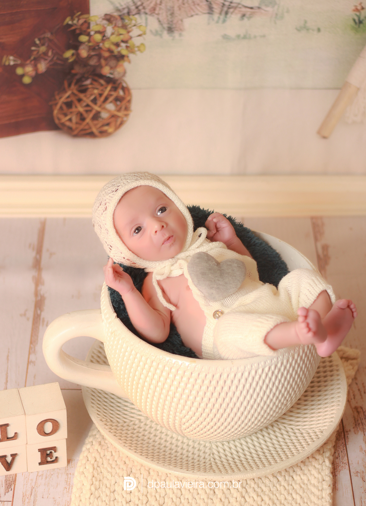 studio-estudio-foto-fotografia-book-gestante-acompanhamento-bebe-mesversario-casal-smash-newborn-ibiuna-aniversario-sao-paulo