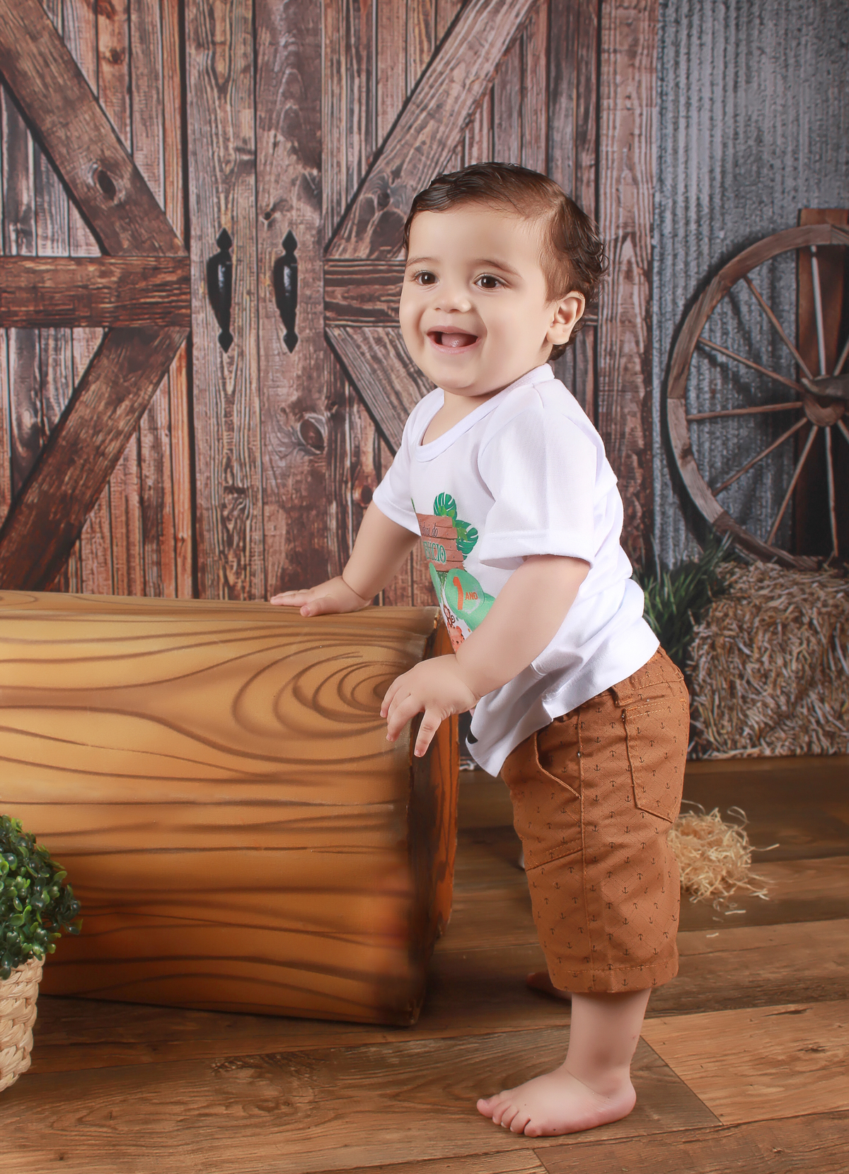 studio-estudio-foto-fotografia-book-gestante-acompanhamento-bebe-mesversario-casal-smash-newborn-ibiuna-aniversario-sao-paulo