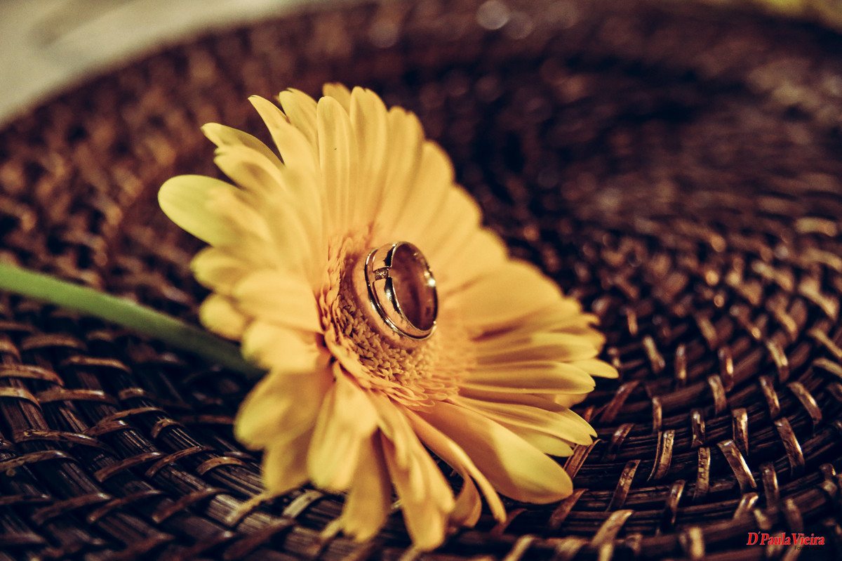 fotógrafo casamento,studio,casamento ibiuna,sao roque, fotógrafo casamento sorocaba,fotografia interior sao paulo, fotógrafo interior sao paulo, gestante, pre wedding,acompanhamento