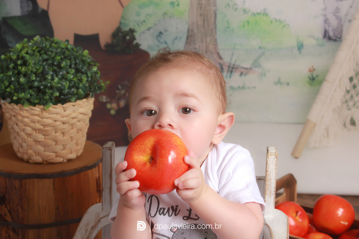 studio-estudio-foto-fotografia-book-gestante-acompanhamento-bebe-mesversario-casal-smash-newborn-ibiuna-aniversario-sao-paulo
