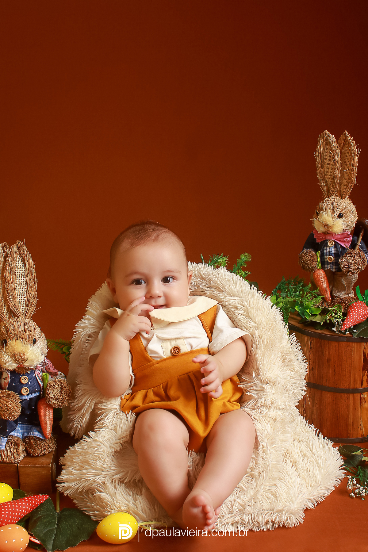 studio-estudio-foto-fotografia-book-gestante-acompanhamento-bebe-mesversario-casal-smash-newborn-ibiuna-aniversario-sao-paulo
