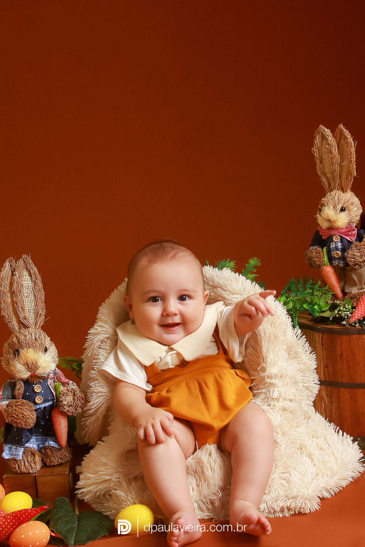 studio-estudio-foto-fotografia-book-gestante-acompanhamento-bebe-mesversario-casal-smash-newborn-ibiuna-aniversario-sao-paulo