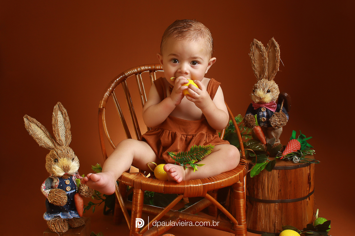 studio-estudio-foto-fotografia-book-gestante-acompanhamento-bebe-mesversario-casal-smash-newborn-ibiuna-aniversario-sao-paulo