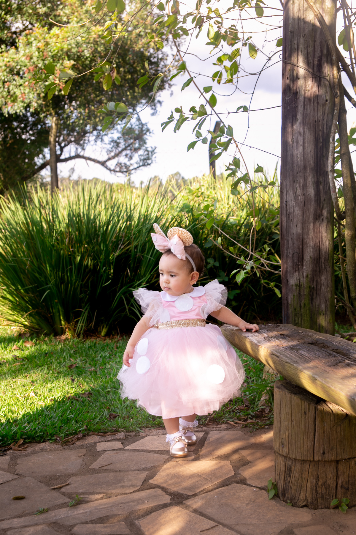 aniversario-infantil-1ano-minnierosa-externo-saopaulo-ibiuna-colinasdeibiúna