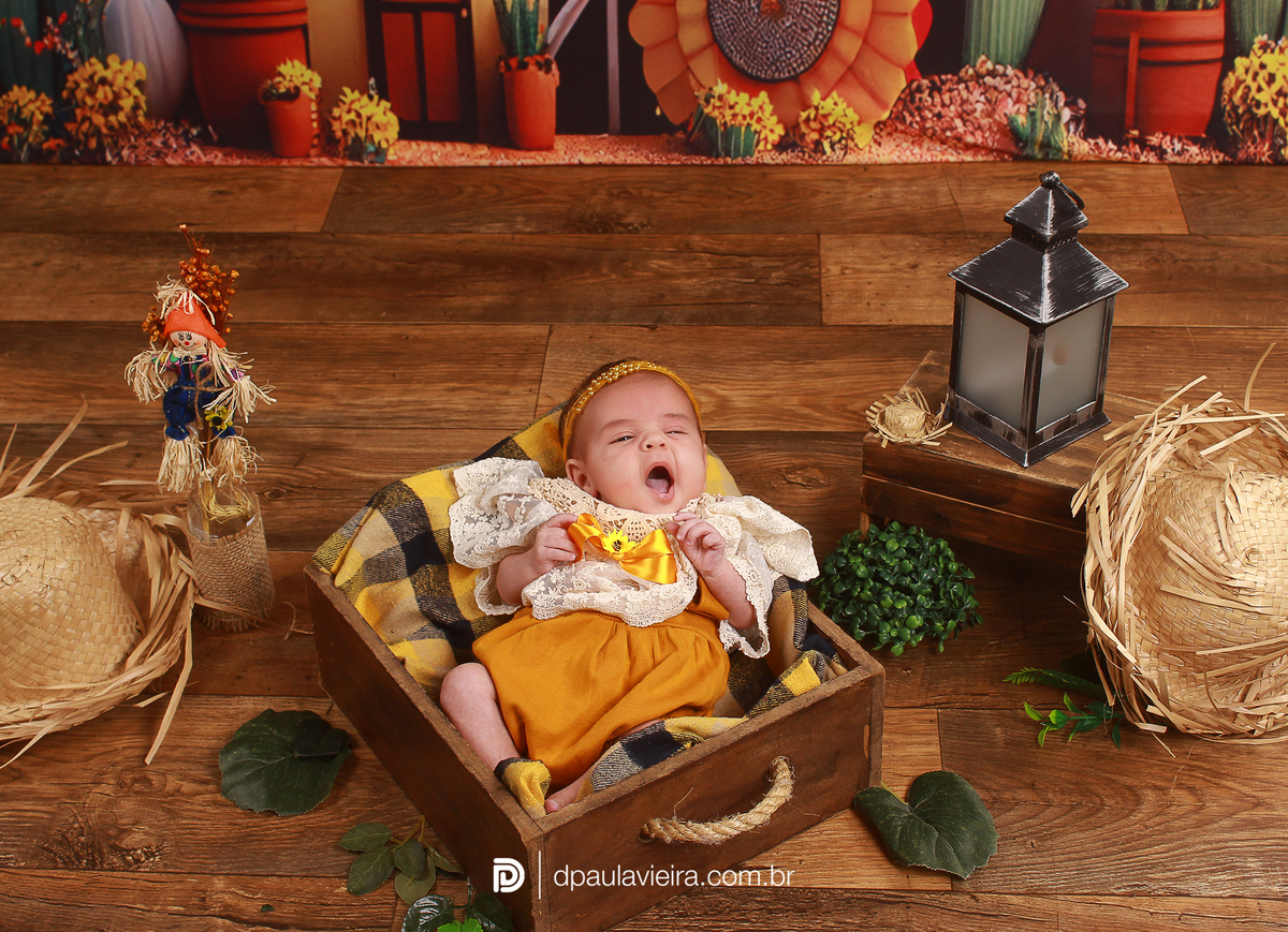 studio-estudio-foto-fotografia-book-gestante-acompanhamento-bebe-mesversario-casal-smash-newborn-ibiuna-aniversario-sao-paulo