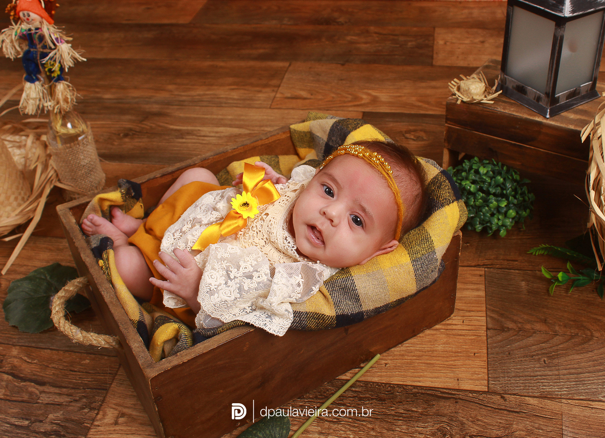 studio-estudio-foto-fotografia-book-gestante-acompanhamento-bebe-mesversario-casal-smash-newborn-ibiuna-aniversario-sao-paulo