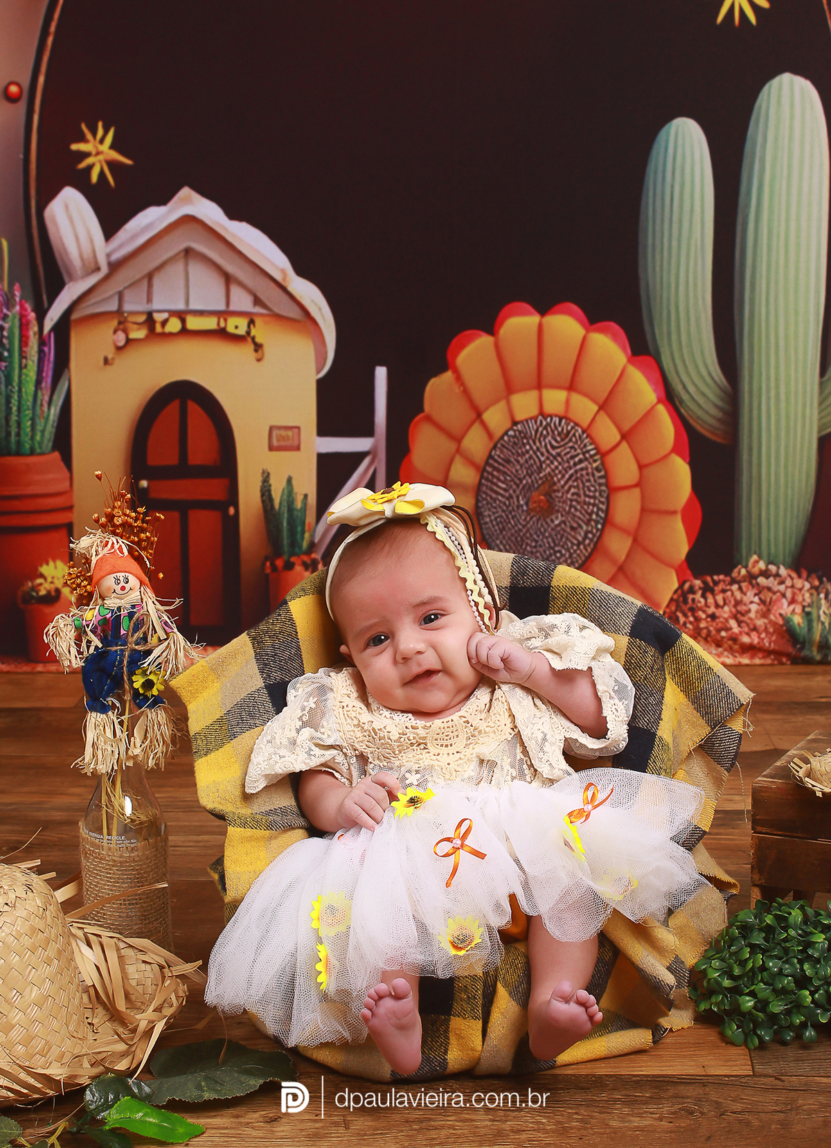 studio-estudio-foto-fotografia-book-gestante-acompanhamento-bebe-mesversario-casal-smash-newborn-ibiuna-aniversario-sao-paulo