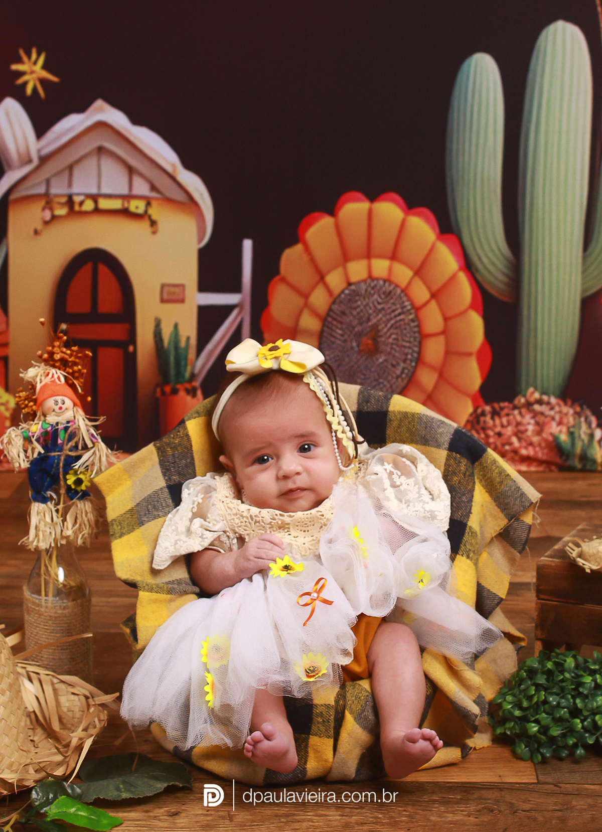 studio-estudio-foto-fotografia-book-gestante-acompanhamento-bebe-mesversario-casal-smash-newborn-ibiuna-aniversario-sao-paulo