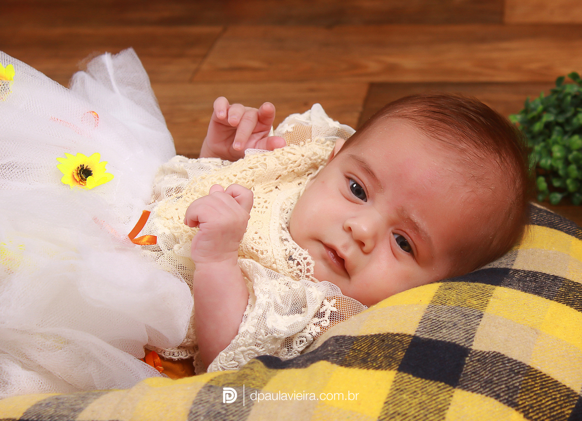 studio-estudio-foto-fotografia-book-gestante-acompanhamento-bebe-mesversario-casal-smash-newborn-ibiuna-aniversario-sao-paulo