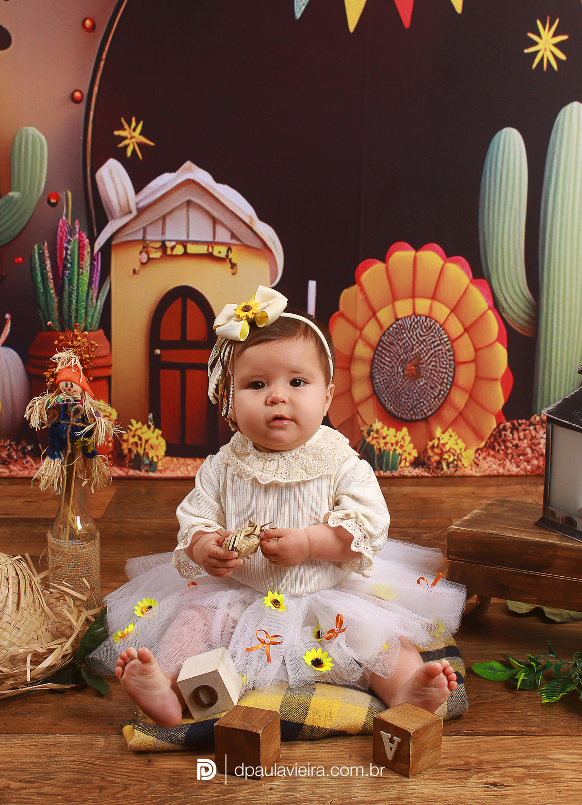 studio-estudio-foto-fotografia-book-gestante-acompanhamento-bebe-mesversario-casal-smash-newborn-ibiuna-aniversario-sao-paulo