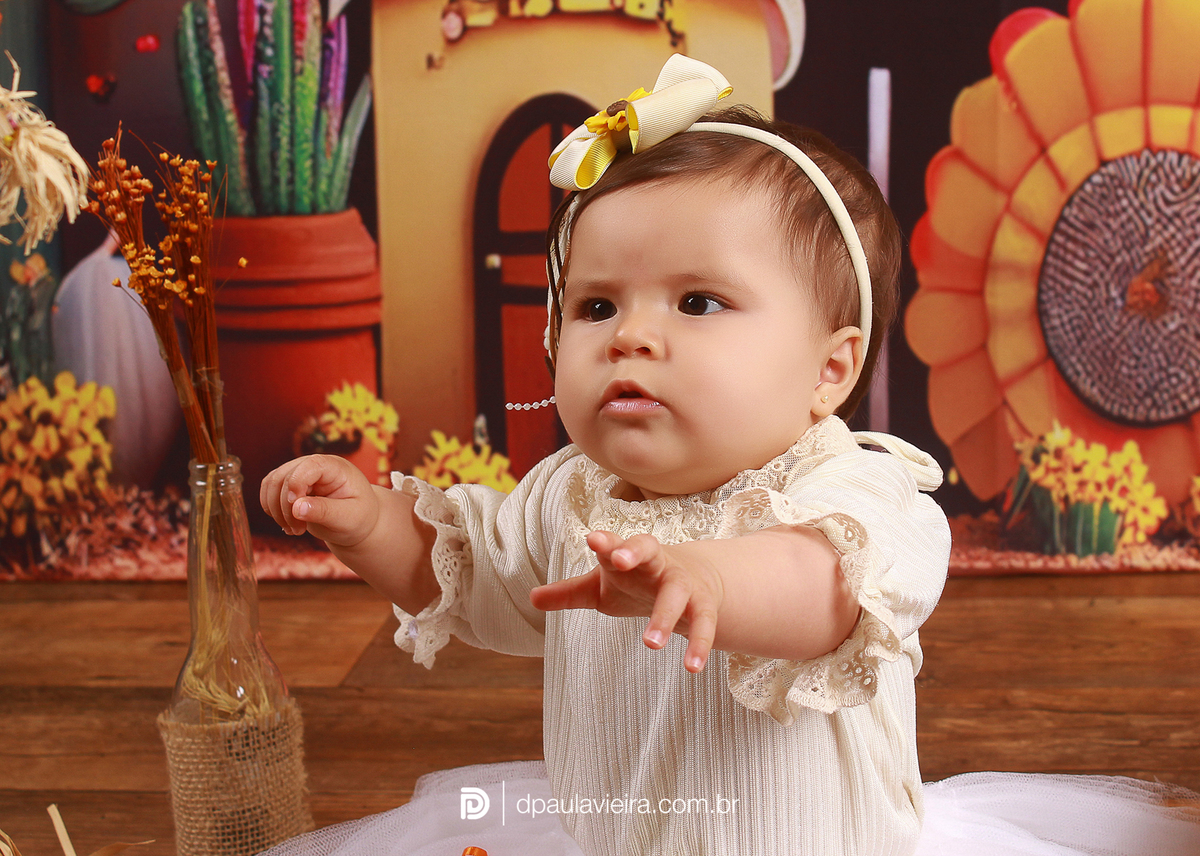 studio-estudio-foto-fotografia-book-gestante-acompanhamento-bebe-mesversario-casal-smash-newborn-ibiuna-aniversario-sao-paulo