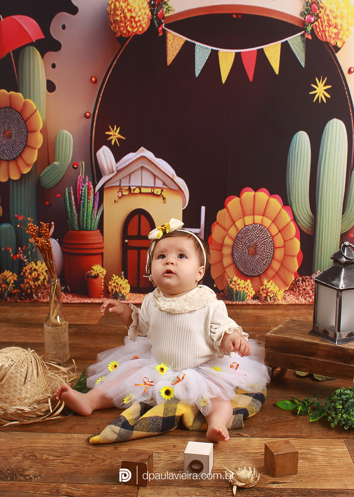 studio-estudio-foto-fotografia-book-gestante-acompanhamento-bebe-mesversario-casal-smash-newborn-ibiuna-aniversario-sao-paulo