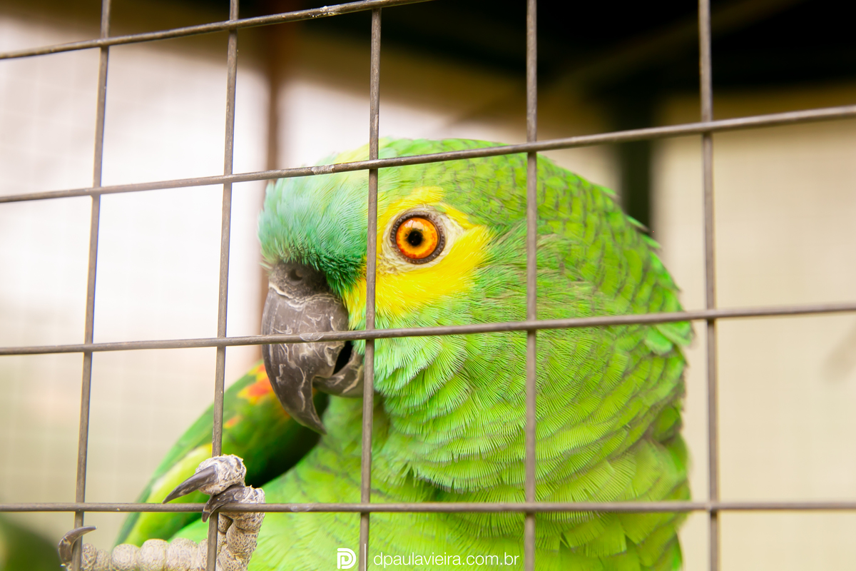 studio-estudio-foto-fotografia-book-gestante-acompanhamento-bebe-mesversario-casal-smash-newborn-ibiuna-aniversario-sao-paulo
