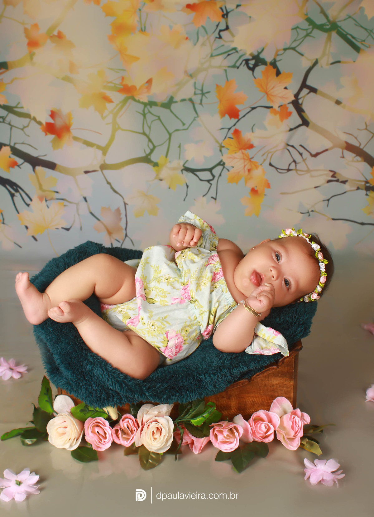 studio-estudio-foto-fotografia-book-gestante-acompanhamento-bebe-mesversario-casal-smash-newborn-ibiuna-aniversario-sao-paulo
